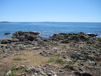 IMG_5032.jpg
